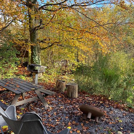 Chalet Tropical Avec Bain A Bulles - In The Woods Gesves Bagian luar foto